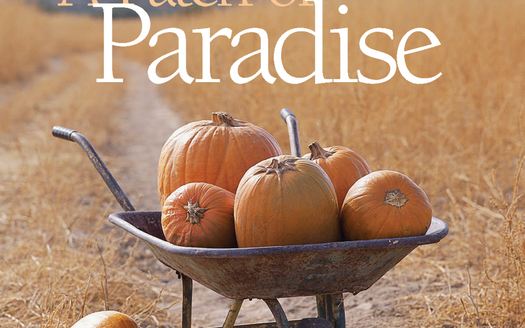 A Patch of Paradise