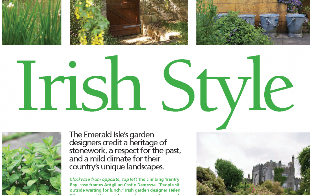 Elements of Irish Style