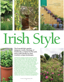 Elements of Irish Style