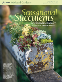 Sensational Succulents